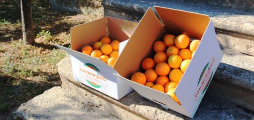 Caja naranjas
