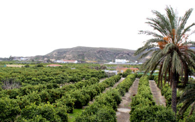 Nueva temporada 2014-2015