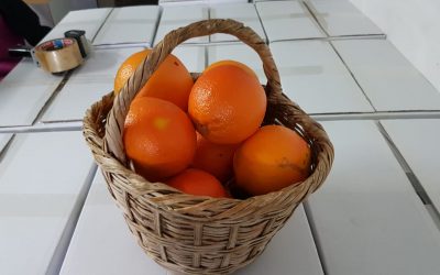 Campaña 2018-2019 Ya estan disponible online.