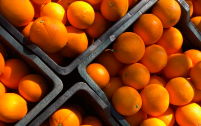 Comenzamos con las NAVE LATE